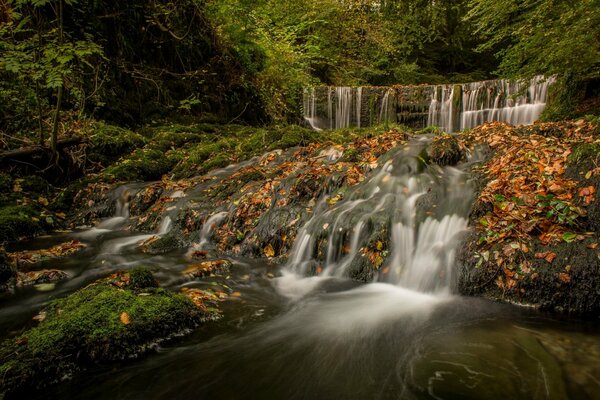 Водопад в Англии. Осень, лес