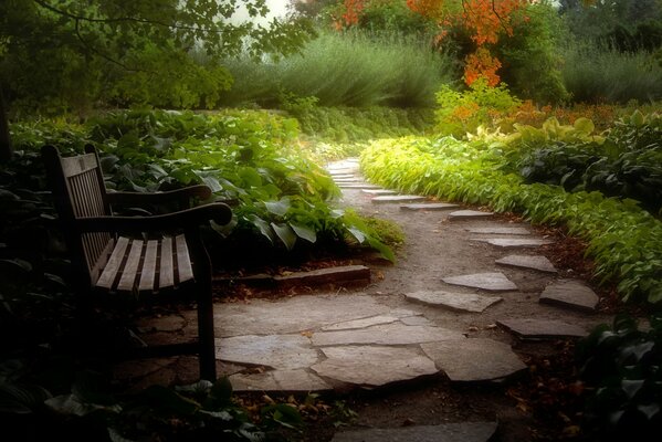 Camino que conduce a un banco en el Jardín