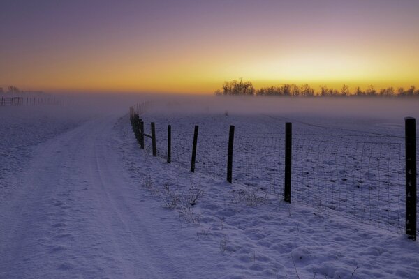 Coucher de soleil glacial dans un champ au milieu de la neige