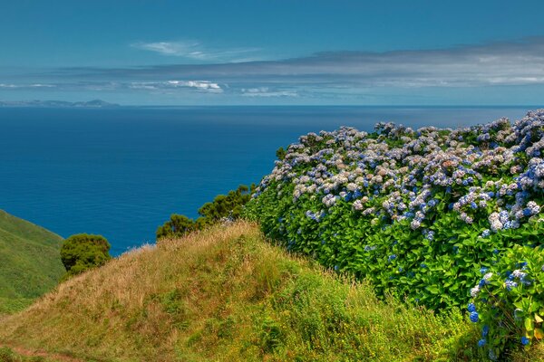 Paysage marin ciel et mer