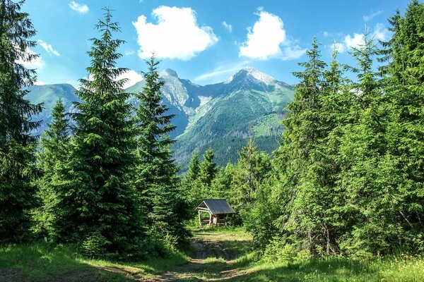 Brunnen im Wald am Fuße der Berge