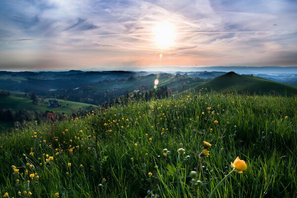 Landscape green tour on the background of hills and sky