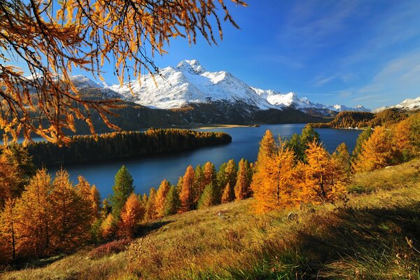 Forêt d automne entourée de montagnes et d un lac