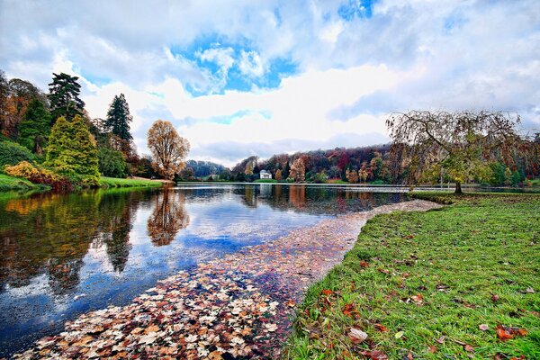 England Wiltshire Teich und Bäume