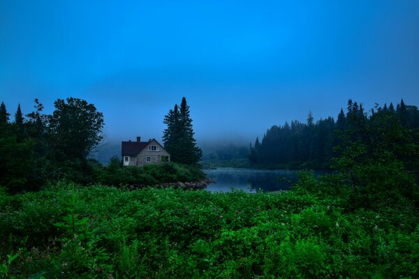 Schönes Gras am Haus mit Nebel