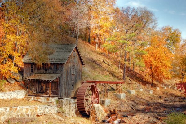 Antiguo molino en el bosque de otoño