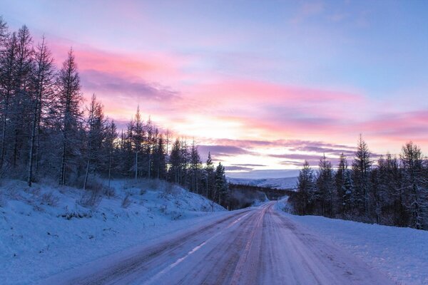 A snowy road running along the trees