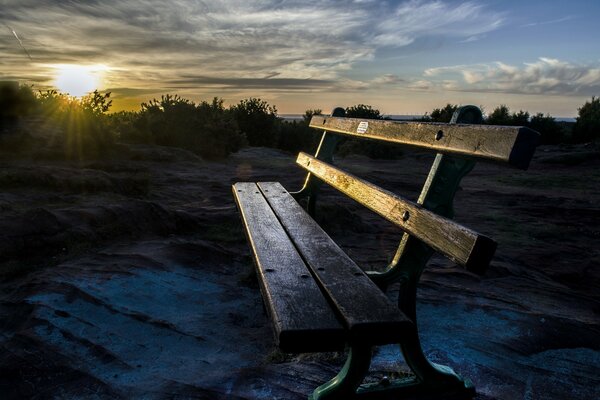 Meeting the morning dawn on the bench