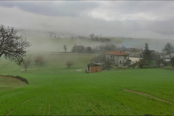 Mattina nebbiosa sopra piccole case tra erba verde e alberi