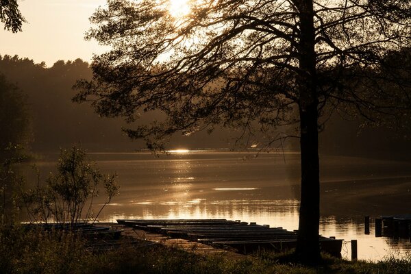 Morning on the lake shore