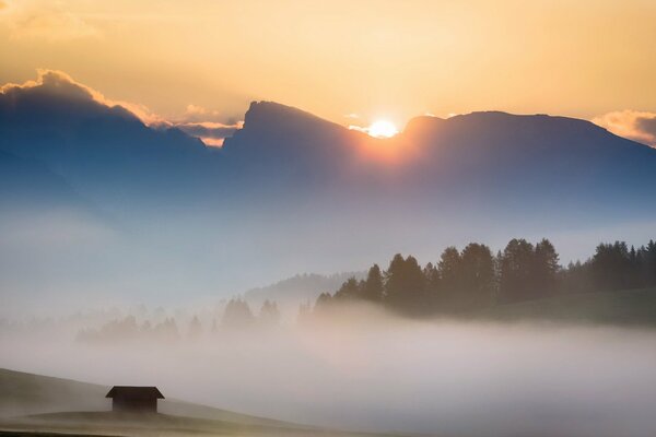 Matin dans le champ dans le brouillard