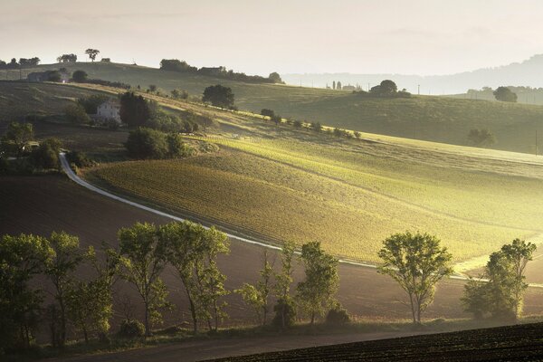 Landscape of the plains in Italy