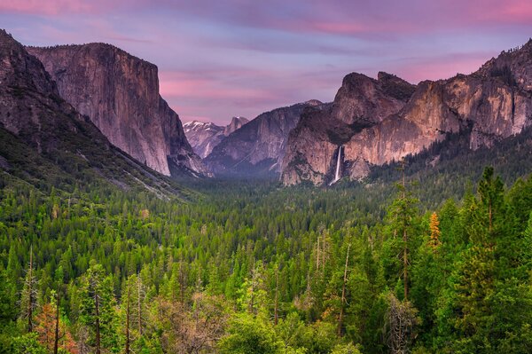 Paisaje de montaña y bosque al atardecer