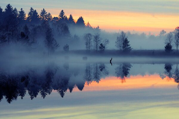 A cold morning fog creeps along the lake and forest in the predawn rays