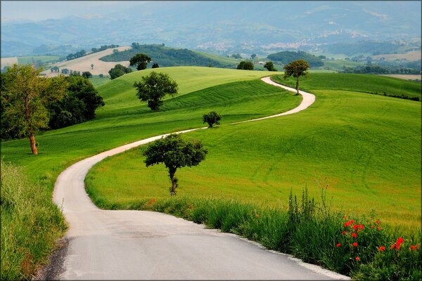 Route entre les collines verdoyantes. Horizon. Paysage