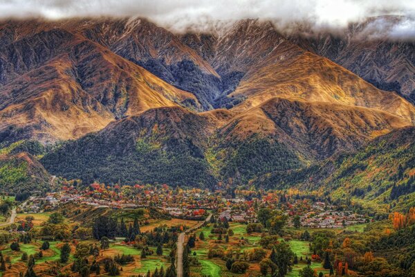 A town in the forest in New Zealand