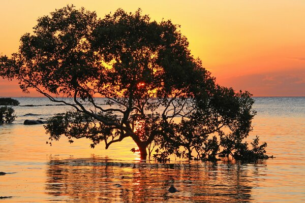 Heller Sonnenuntergang über der Meeresoberfläche