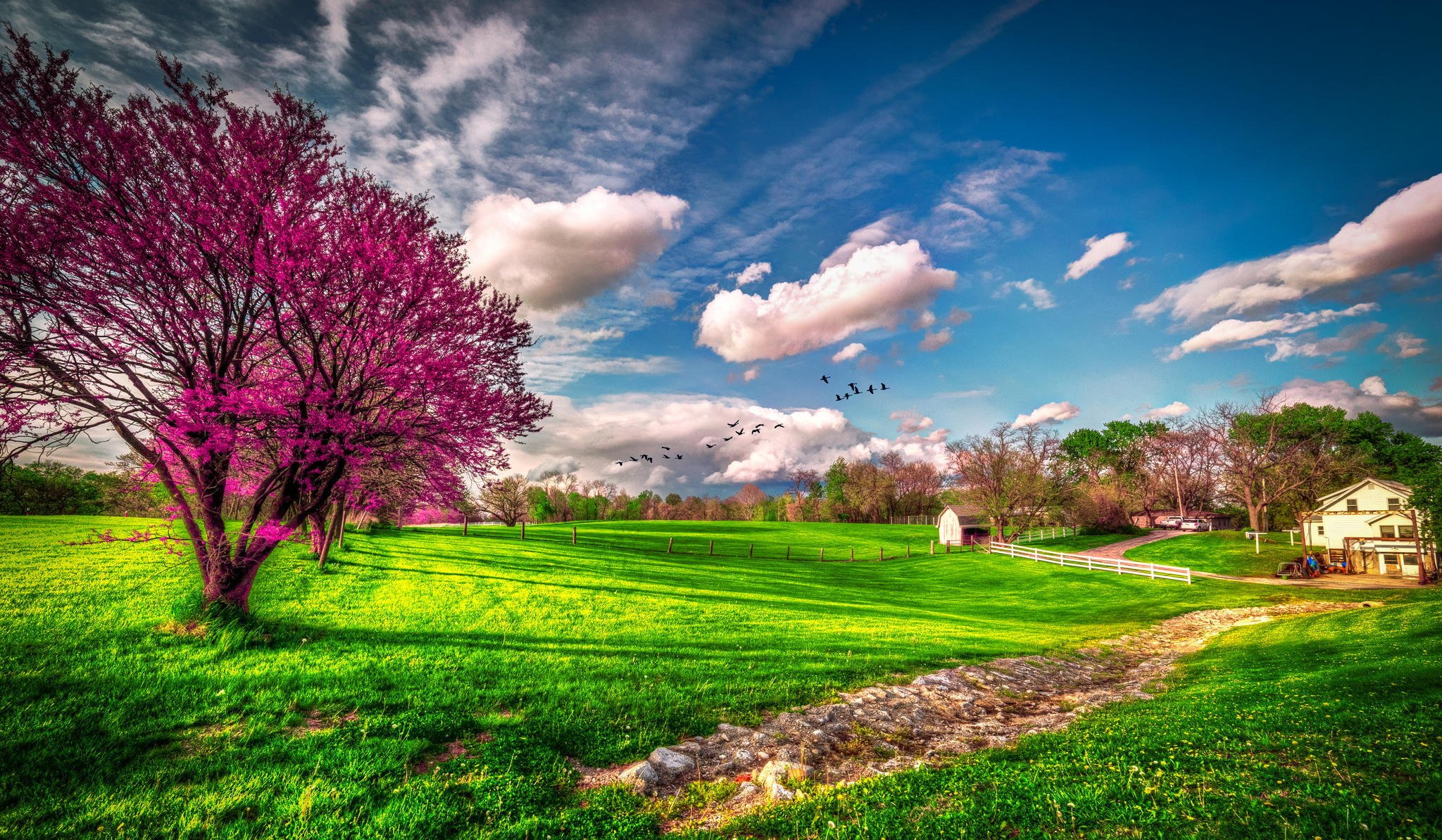 usa missouri frühling bauernhof gras grün wolken baum blüte