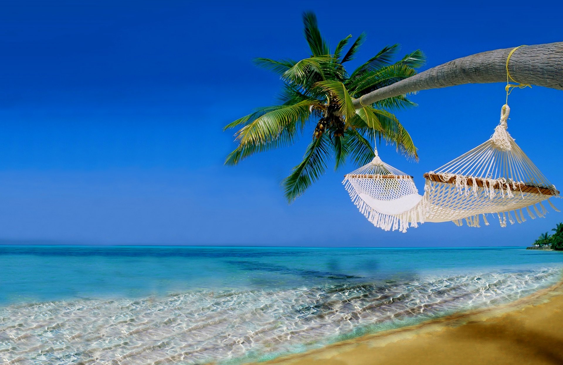 hammock sky rest palm trees landscape nature beach sea ocean water sand ammock