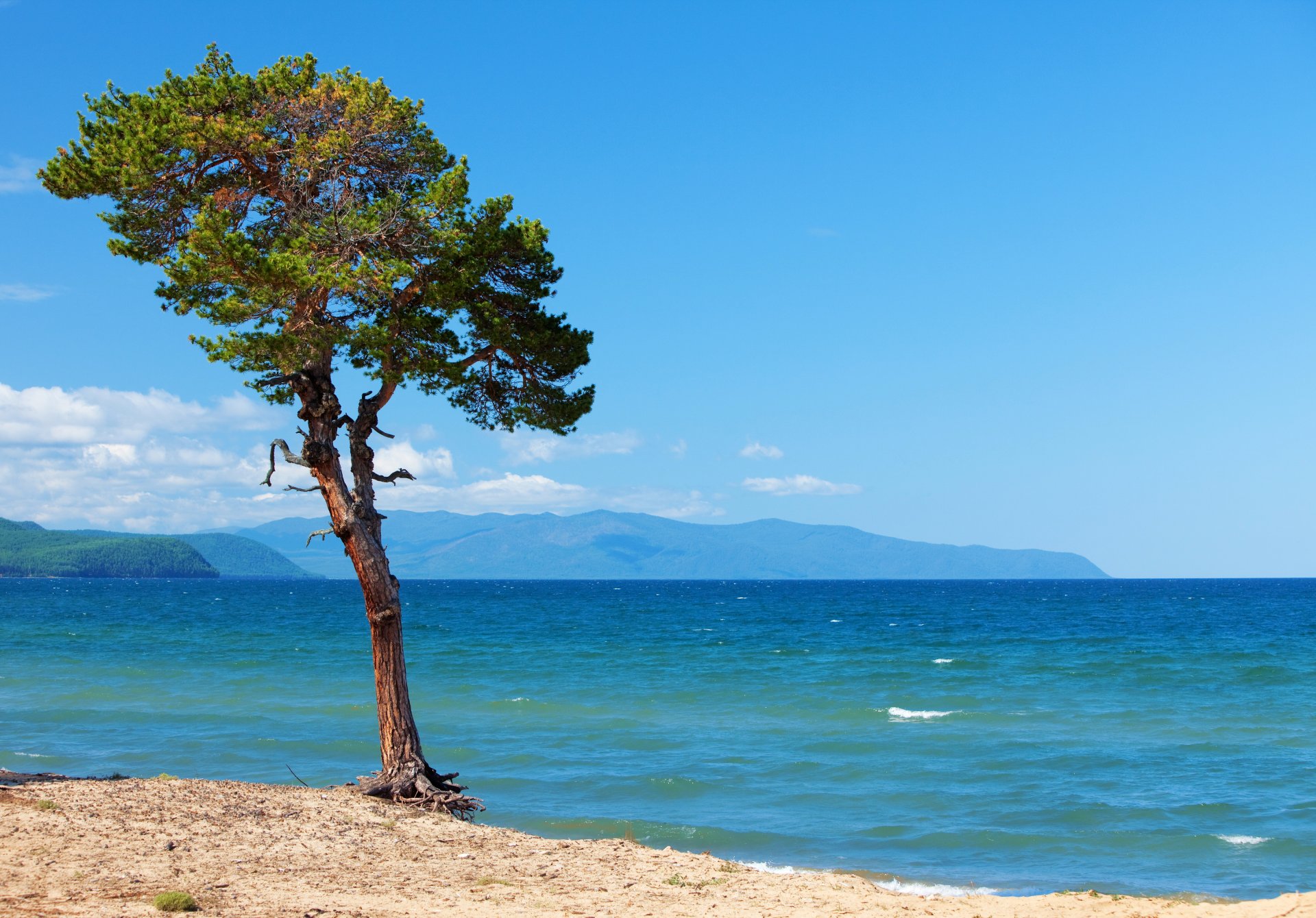 russia lake landscape baikal tree nature photo