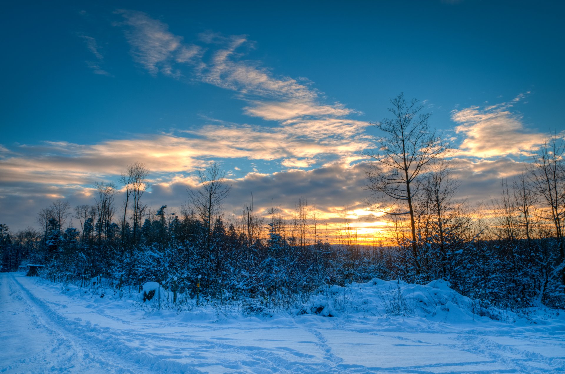 cielo nubes puesta de sol invierno nieve árboles camino naturaleza camino