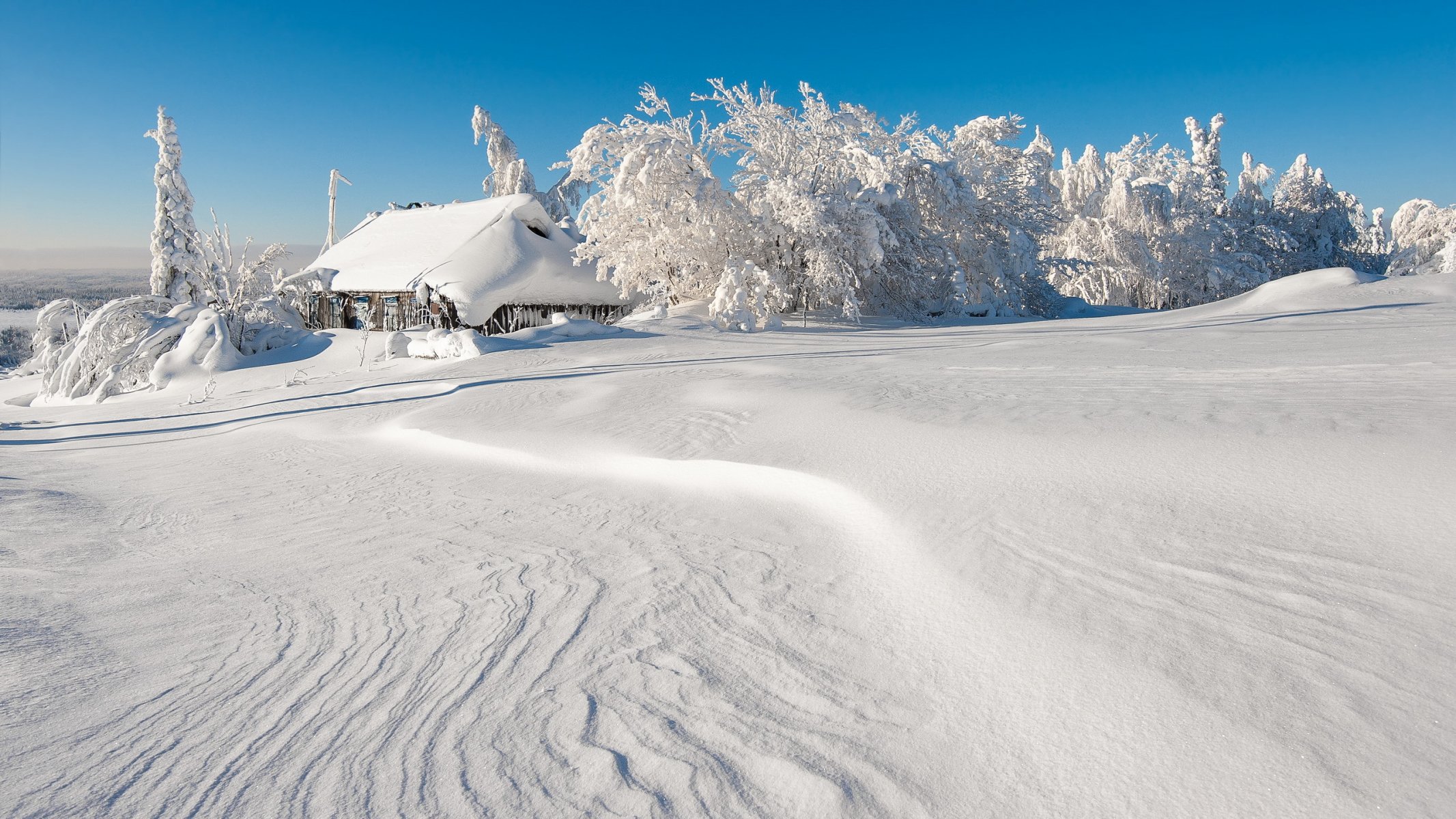 now winter house landscape