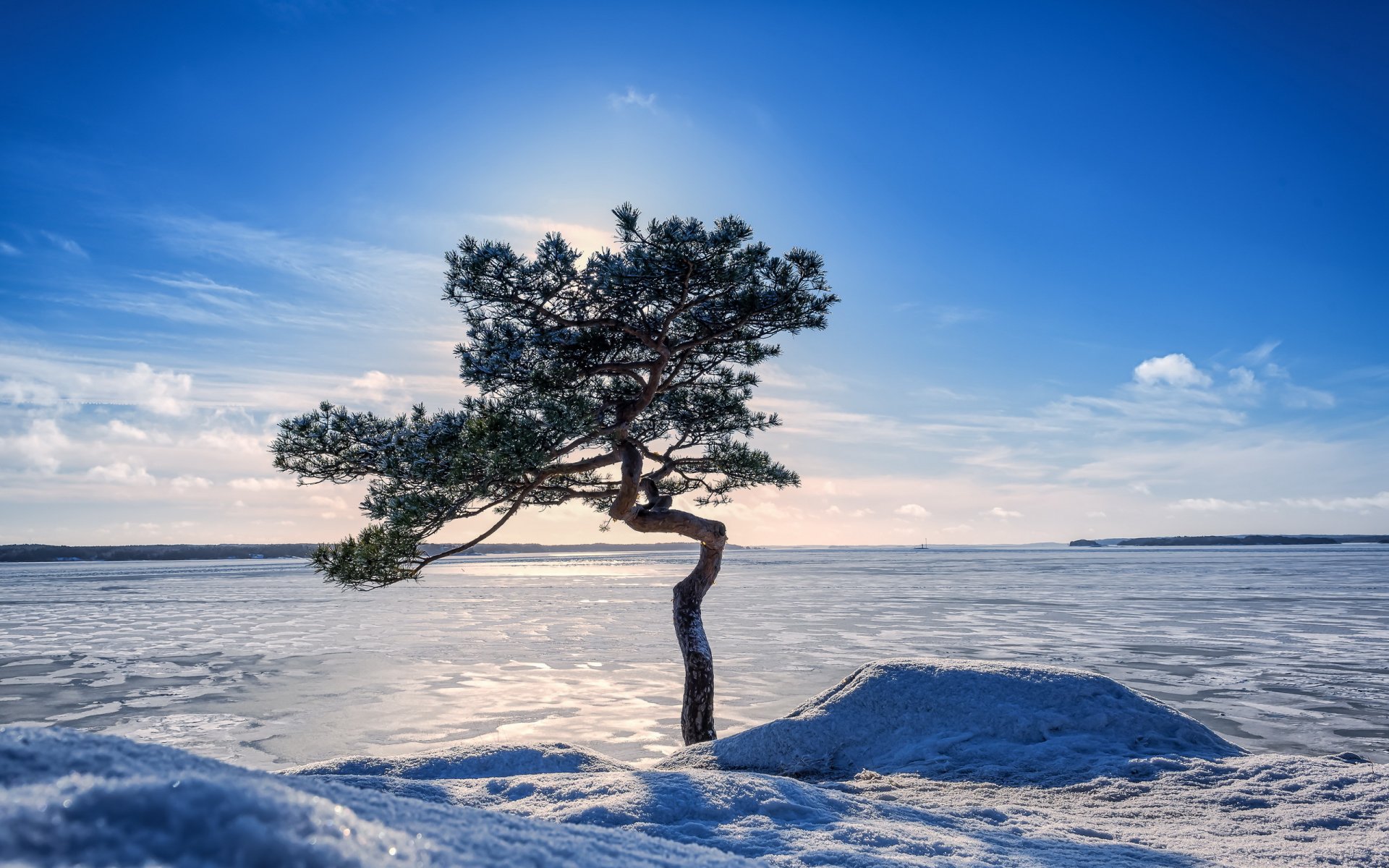 invierno lago árbol