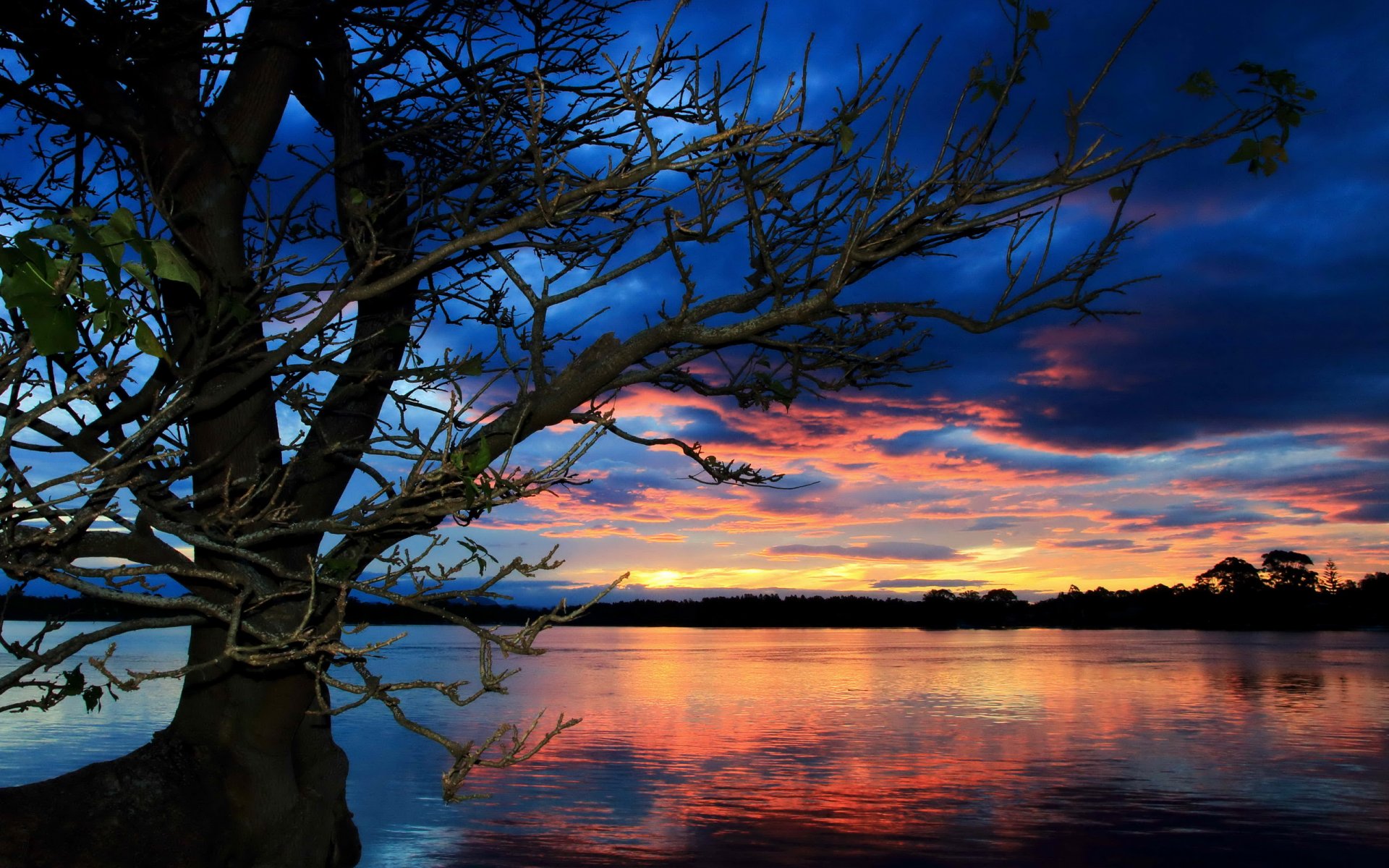 see sonnenuntergang baum landschaft