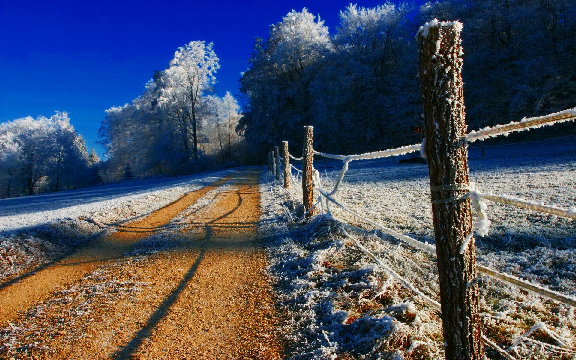 himmel winter schnee bäume frost straße zaun