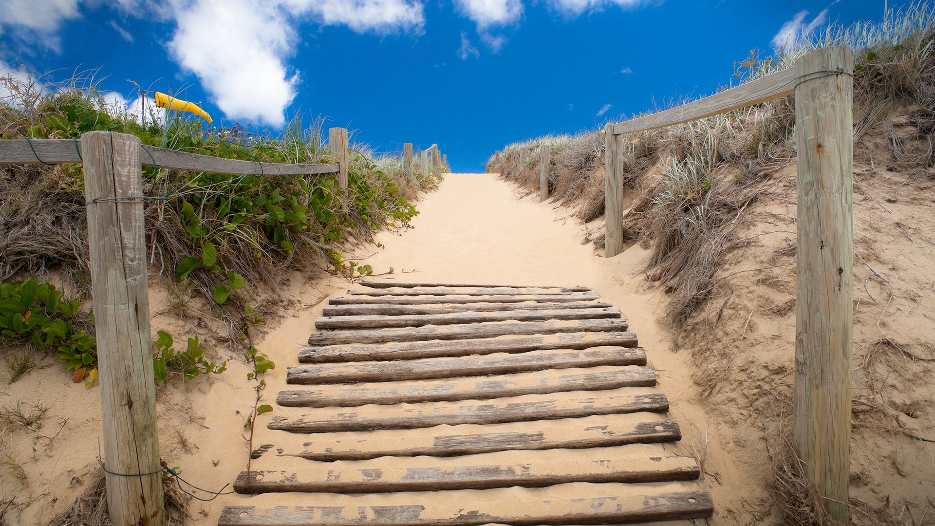 landscape lord howe island group australia island lord howe sand sky stairs bridge road to tasman sea travel my planet wallpaper