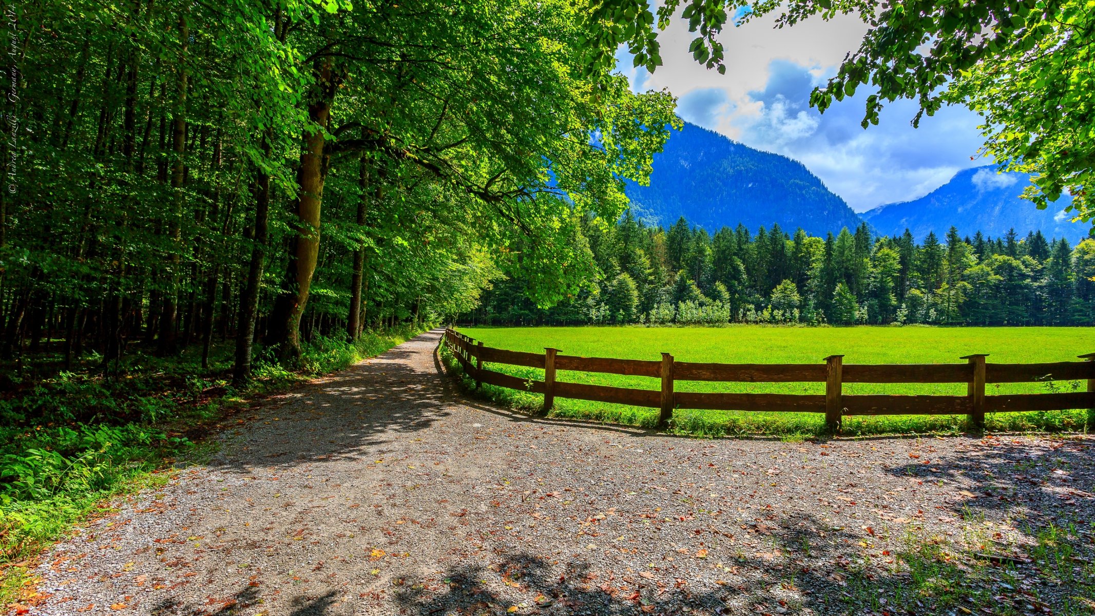 natur landschaft himmel wolken frühling wald park bäume straße zu fuß frühling