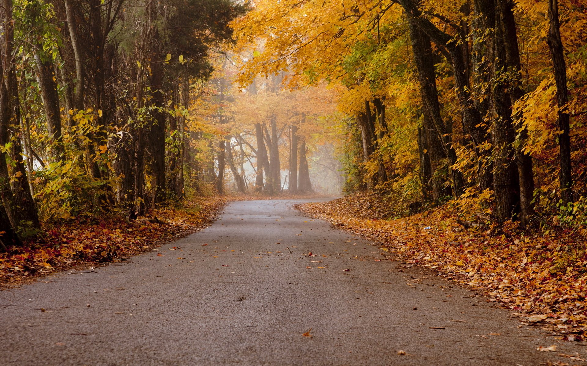 otoño carretera paisaje