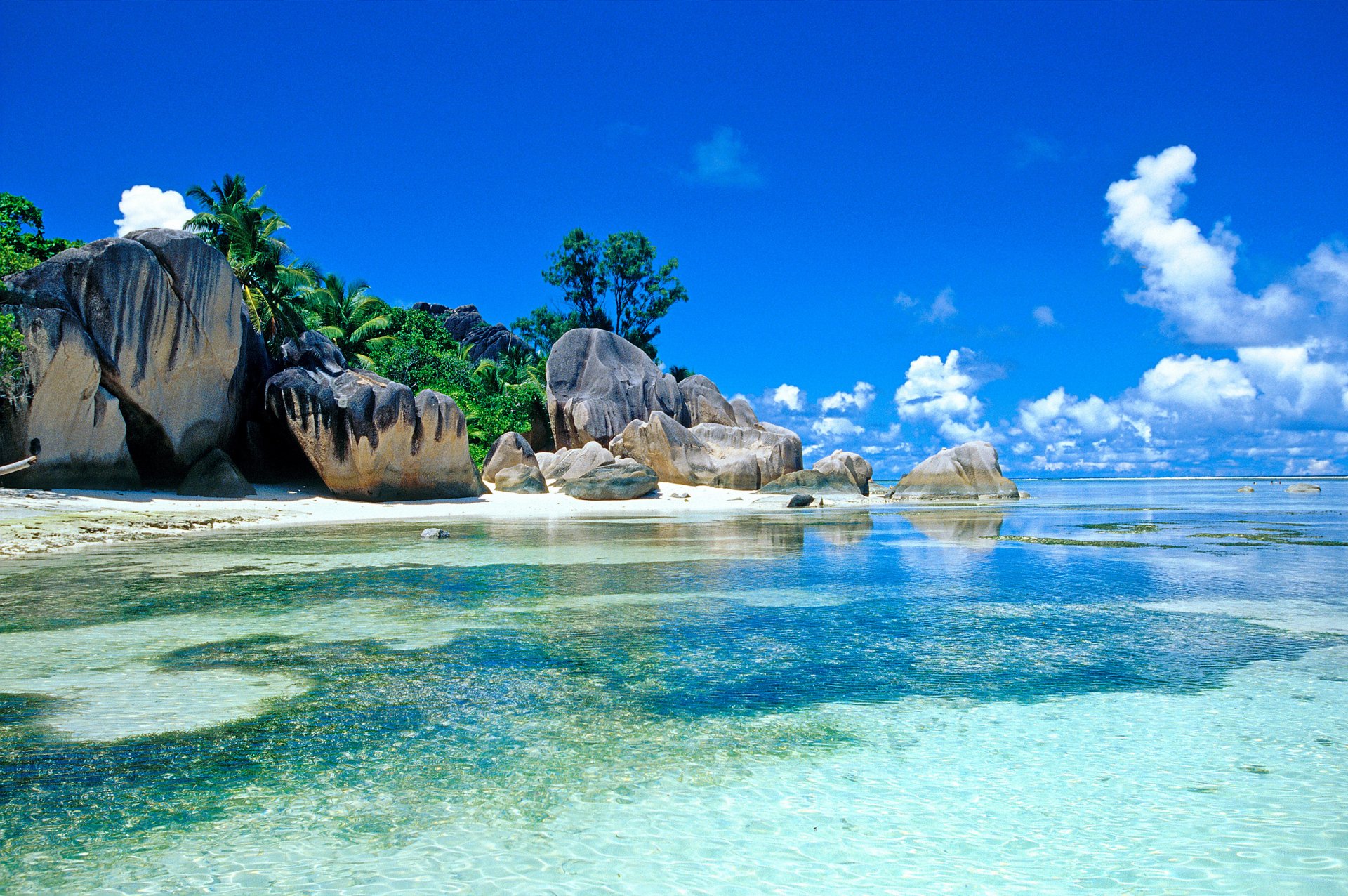 tropics sea stones palm sky cloud