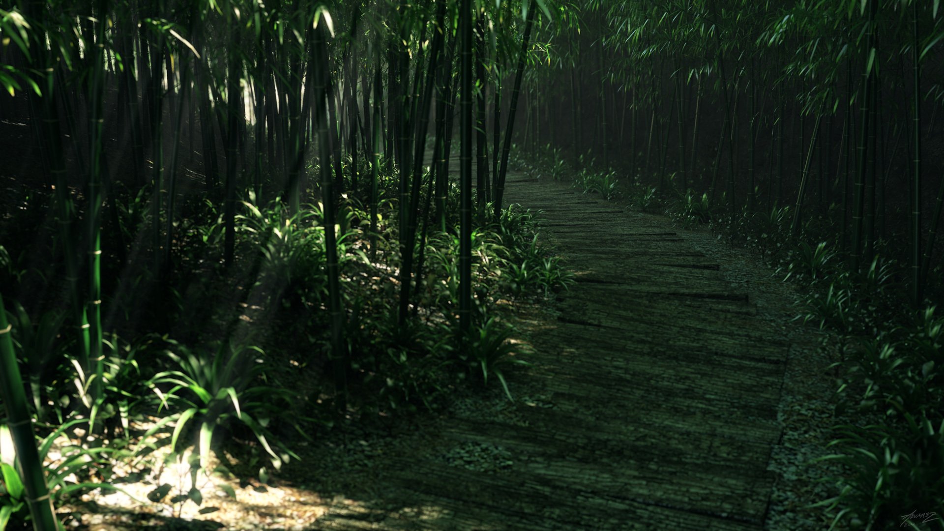 thickets forest tree grass road bamboo