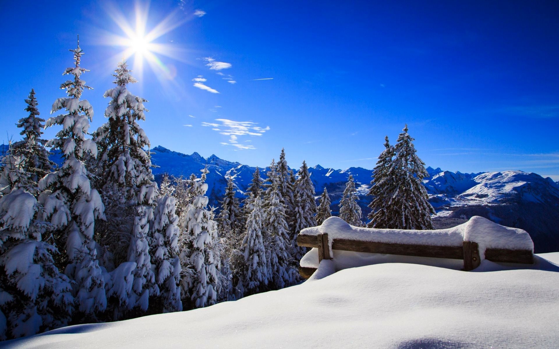 natura panchina foresta parco sole inverno neve cielo paesaggio inverno bianco fresco bello tramonto poster