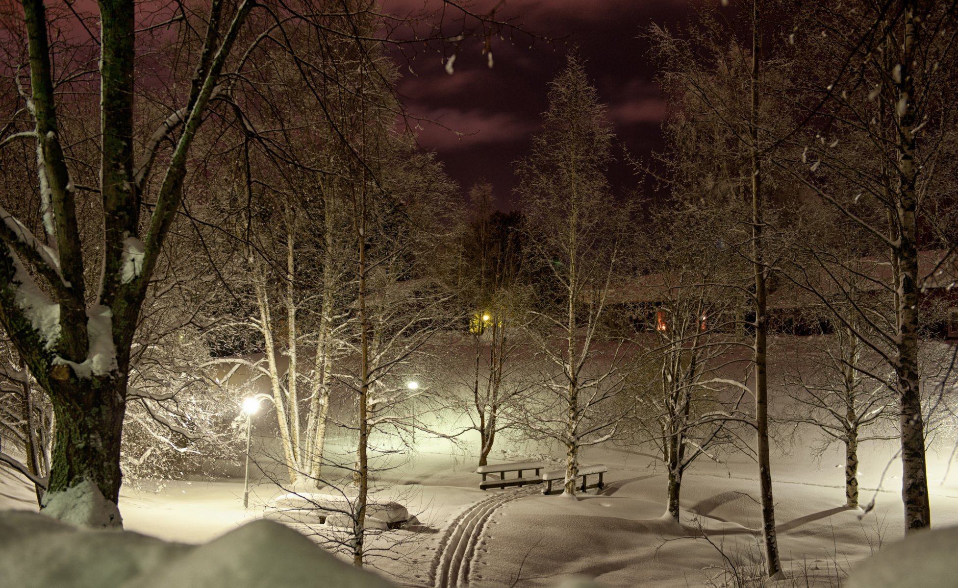 parc hiver ski arbres neige nuit lumières lumière