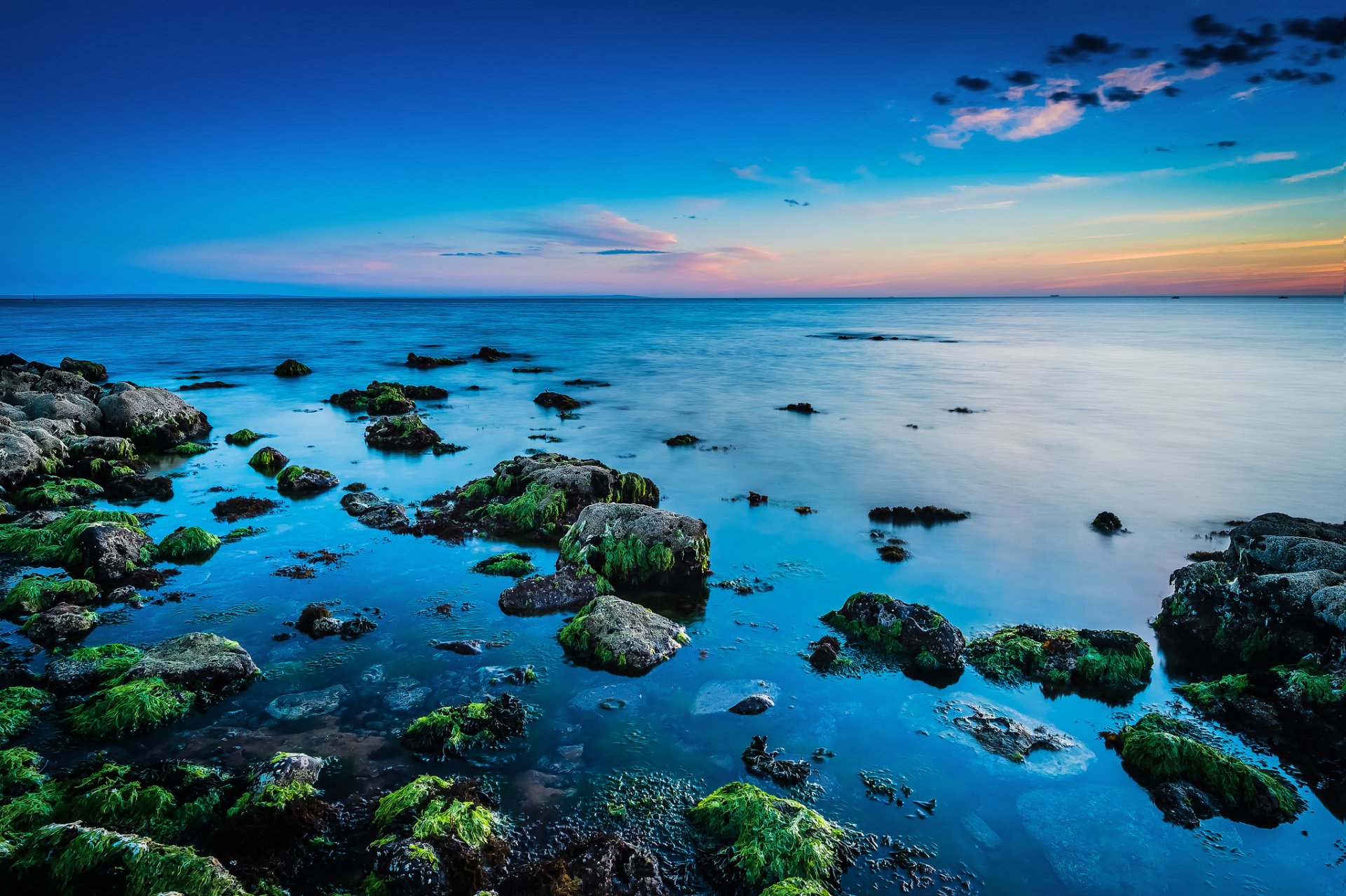 море камни водоросли горизонт закат