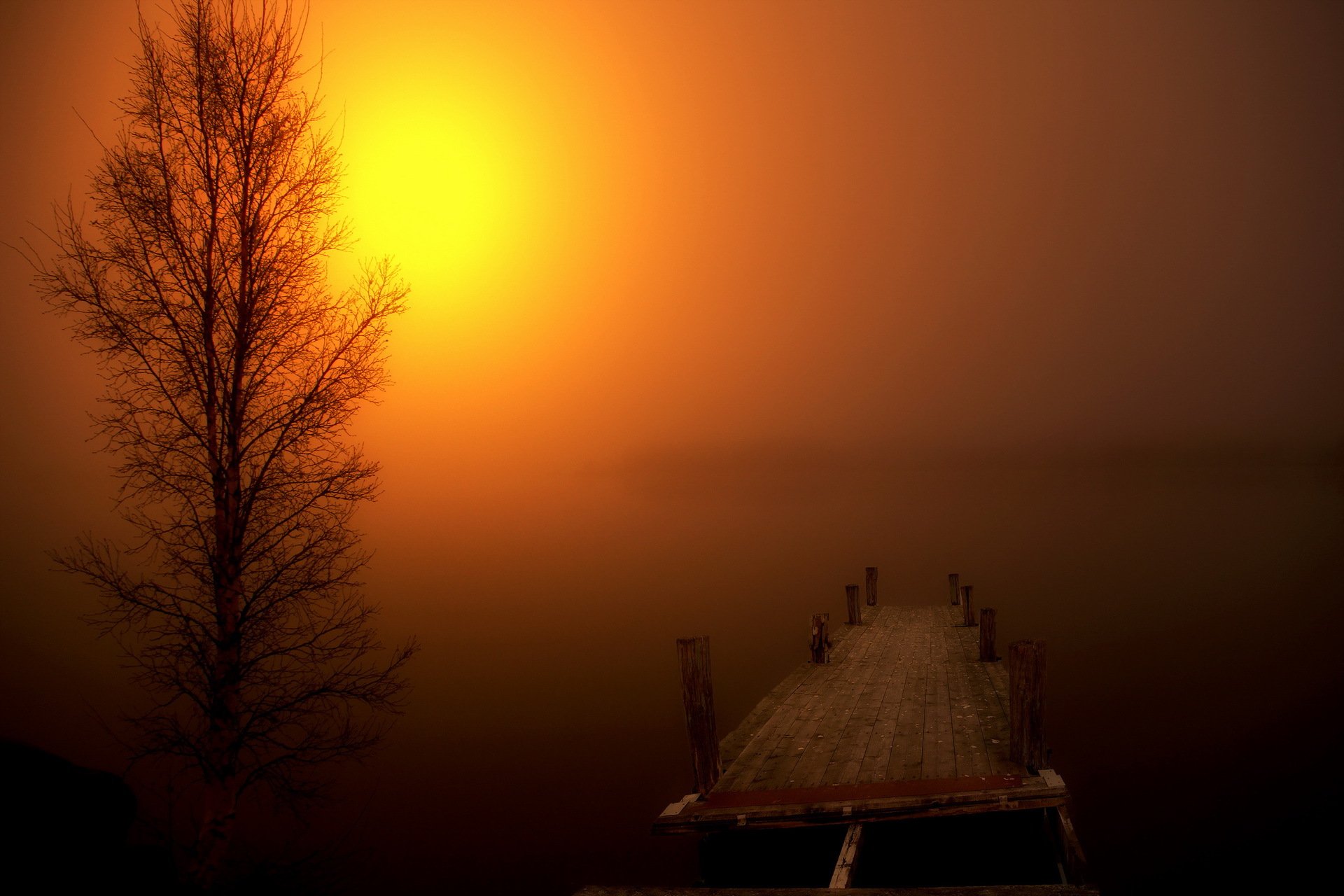 night bridge tree fog landscape