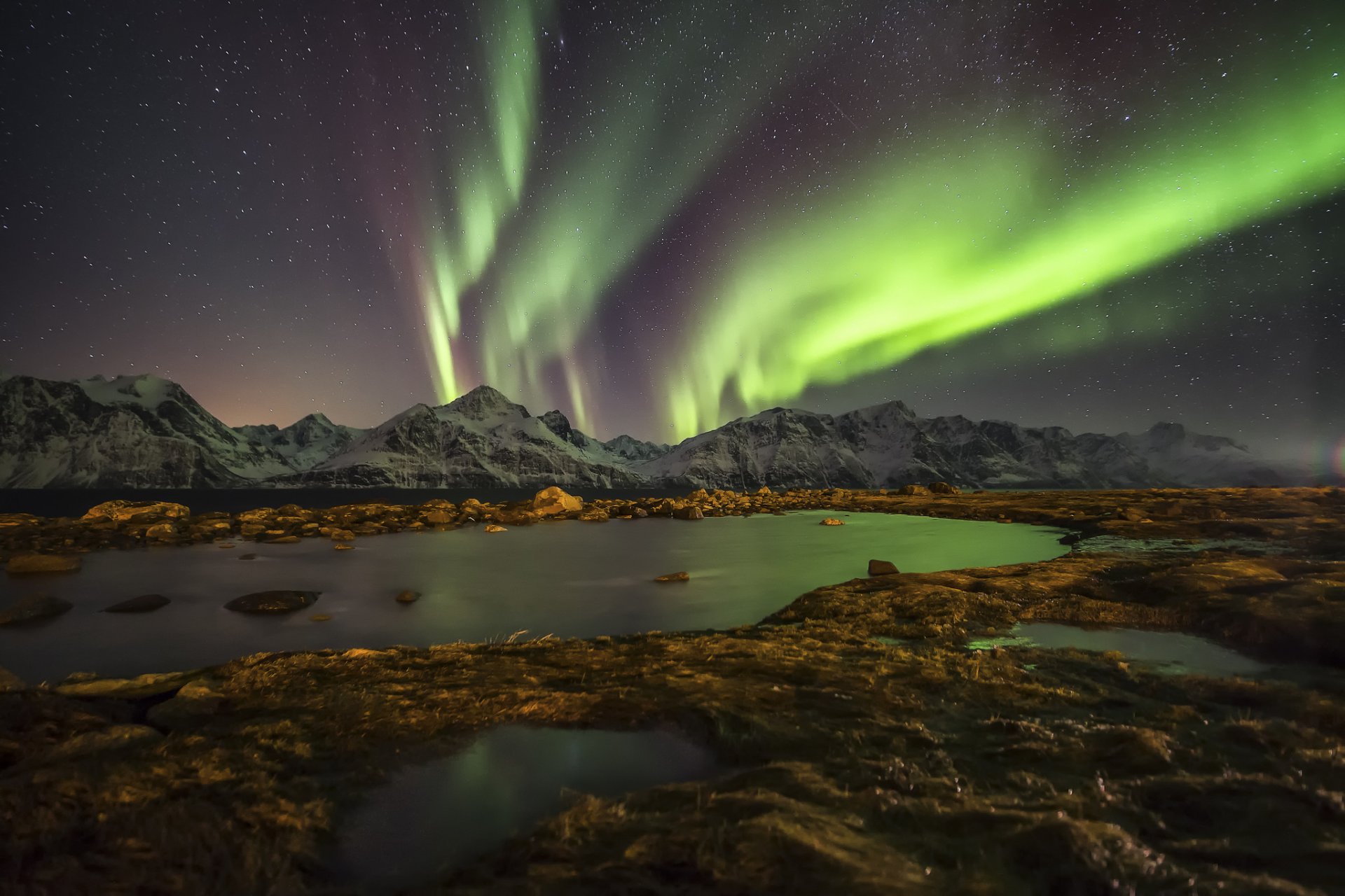 aurores boréales ciel étoiles montagnes norvège nuit