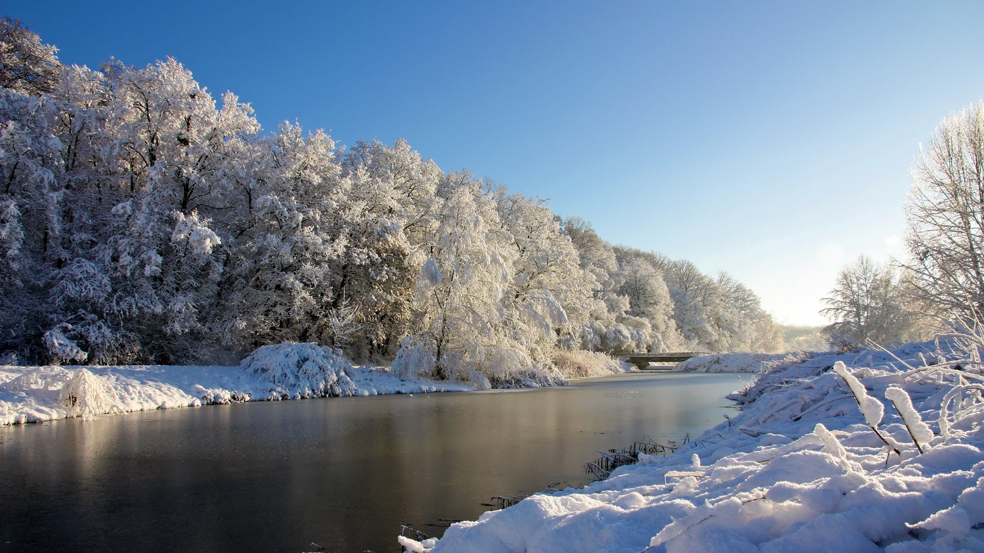 winter fluss bäume schnee