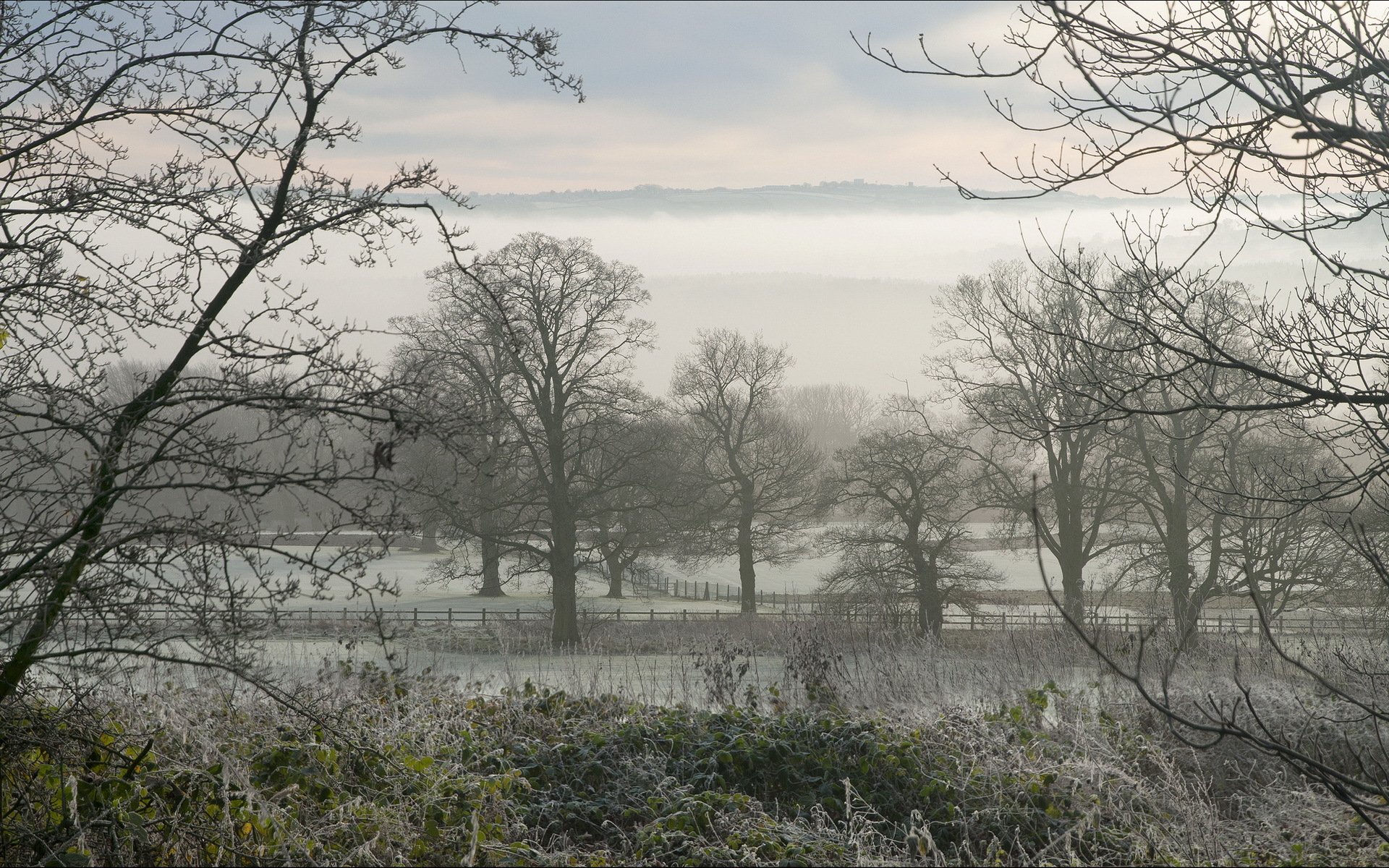 the field frost landscape