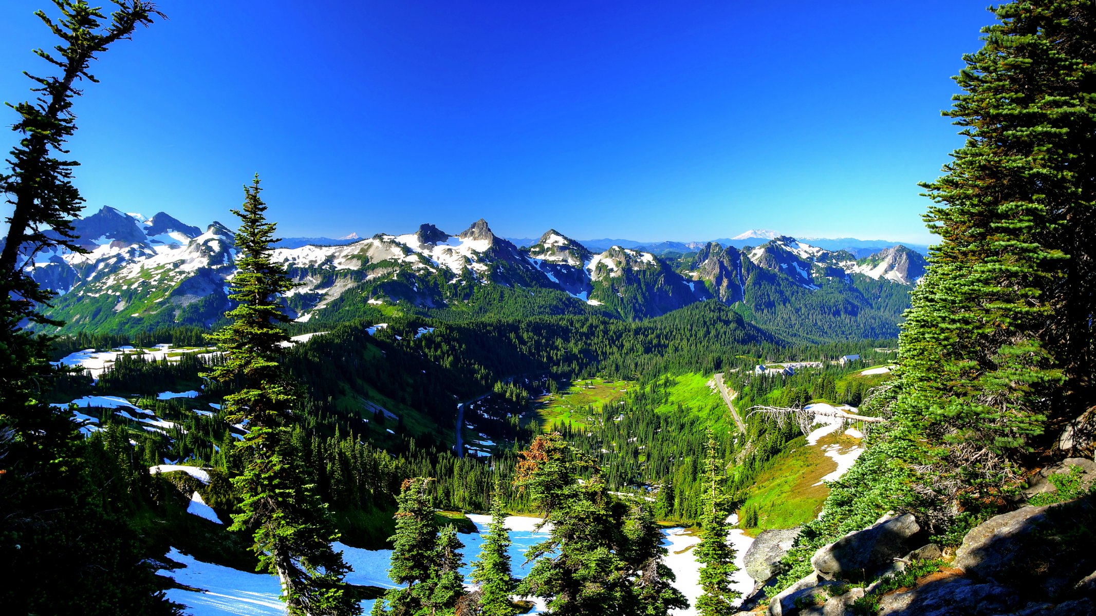 monte rainier stati uniti cielo primavera alberi montagne neve abete rosso pendenza vetta