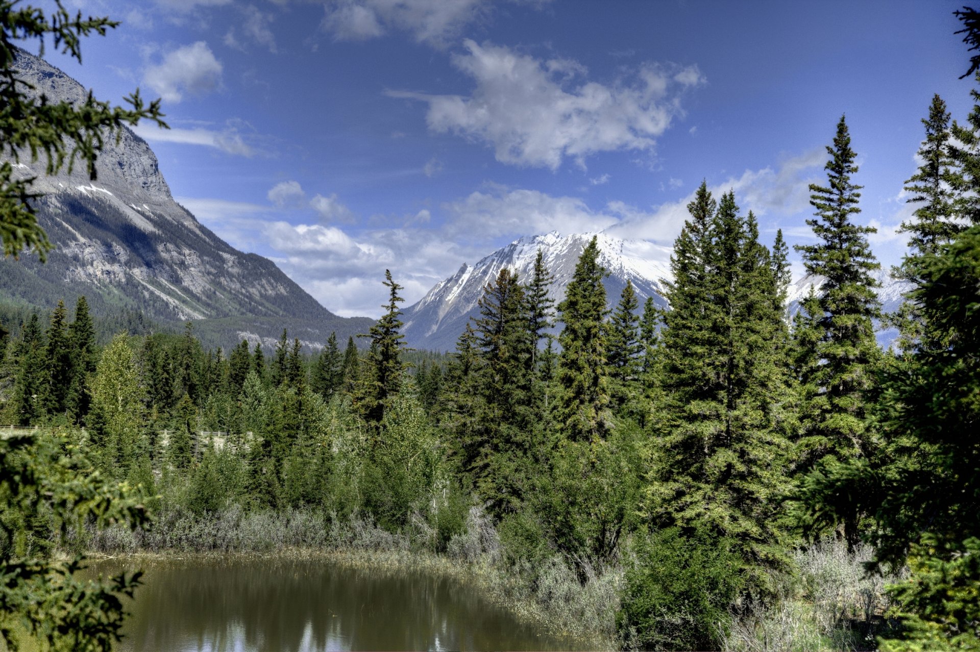 parque nacional jasper alberta canadá montañas bosque abetos