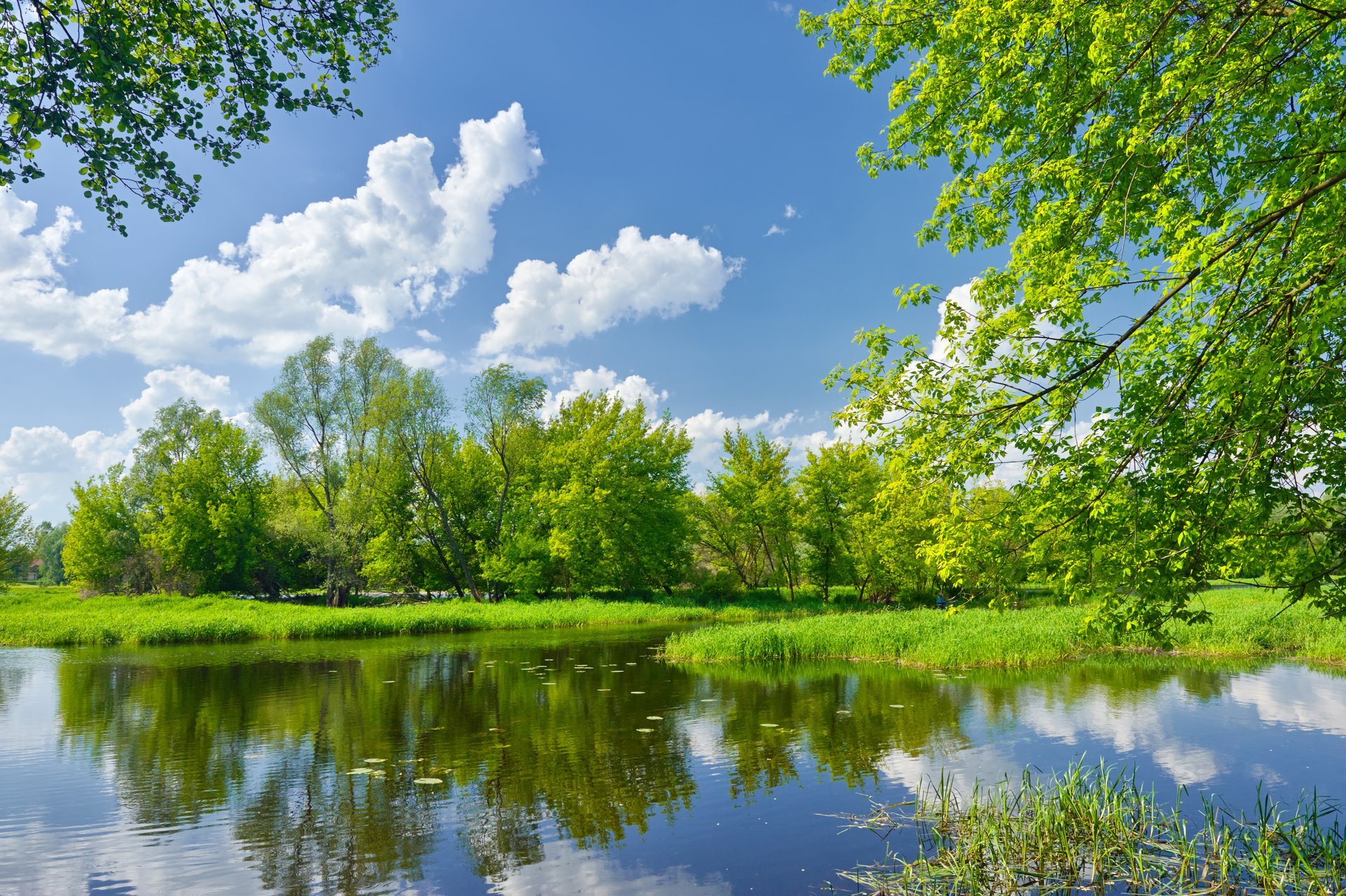 landscape nature tree green grass sky cloud