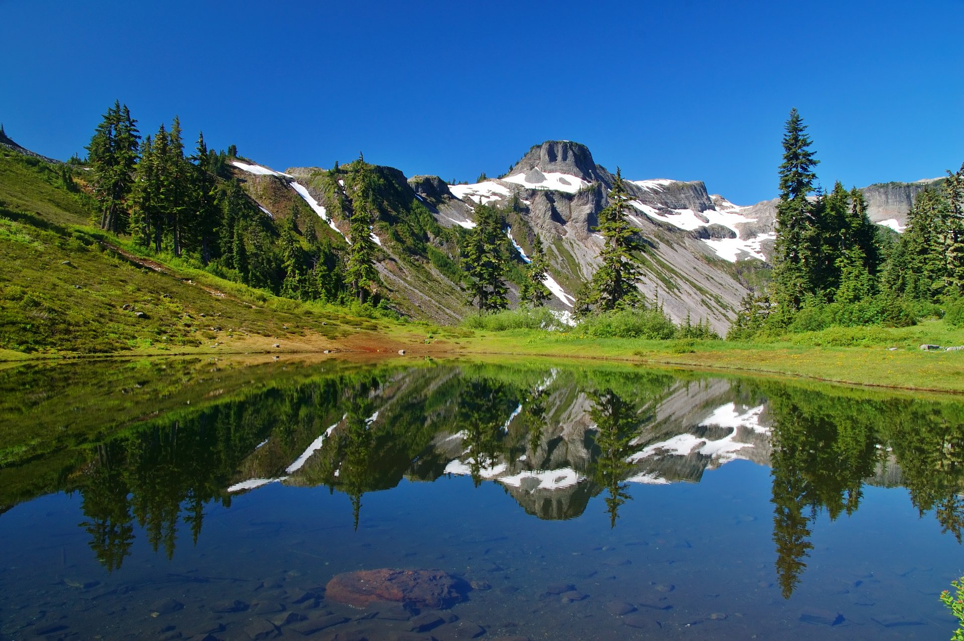 north cascades nature mountain snow lake reflection grass tree spruce