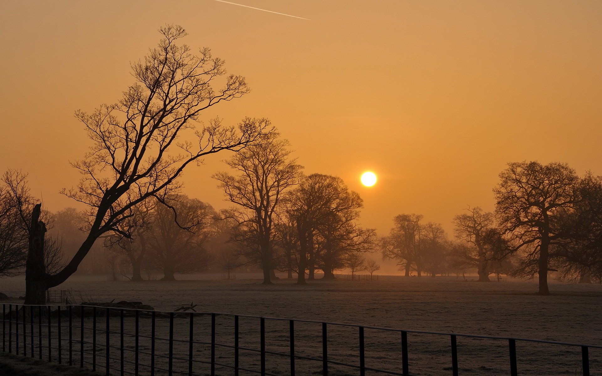 coucher de soleil brouillard champ arbres