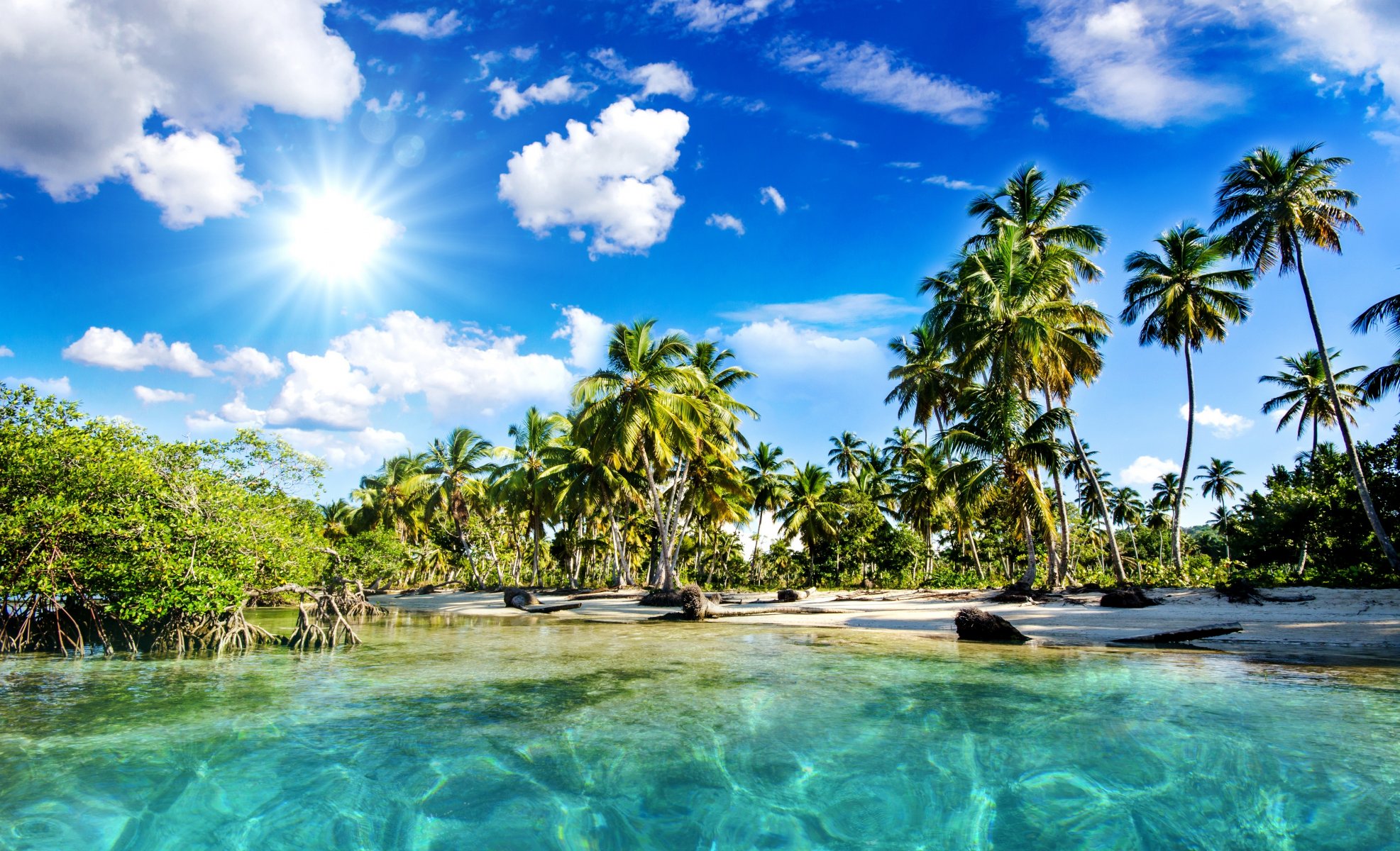 natur tropen meer strand palmen himmel wolken sonne sonnenstrahlen