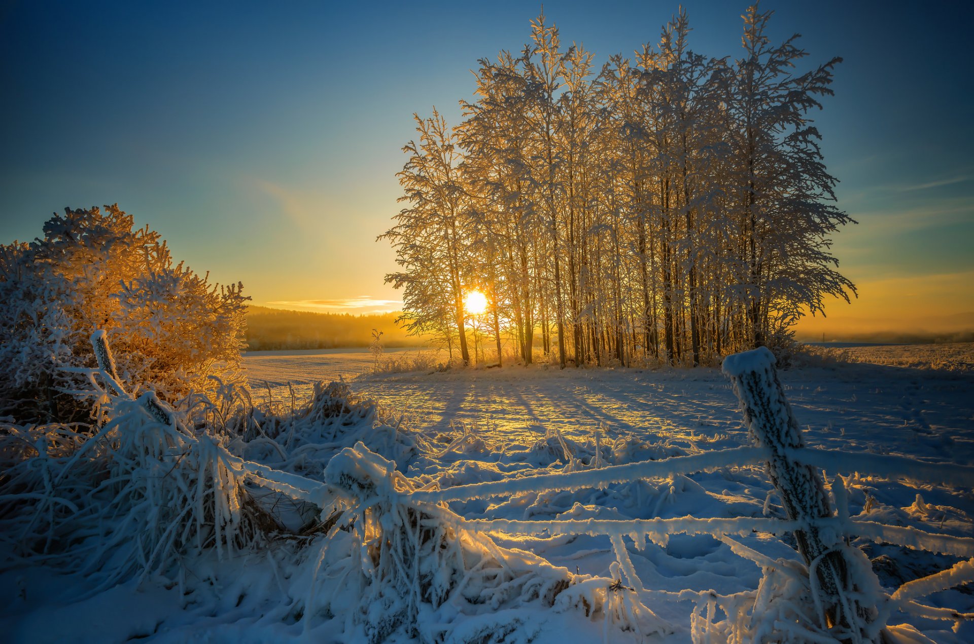 inverno neve mattina recinzione inclinata alberi sole alba