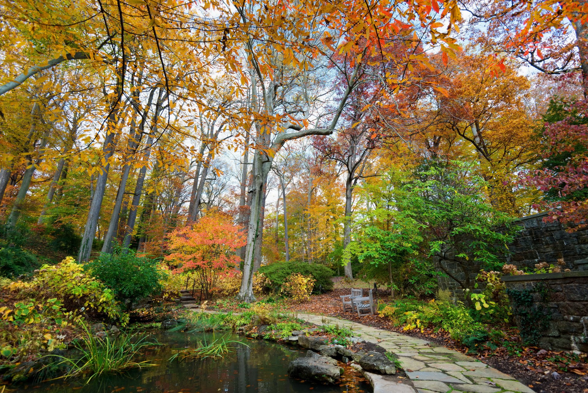 parque otoño estanque estados unidos longwood kenneth square árboles naturaleza foto