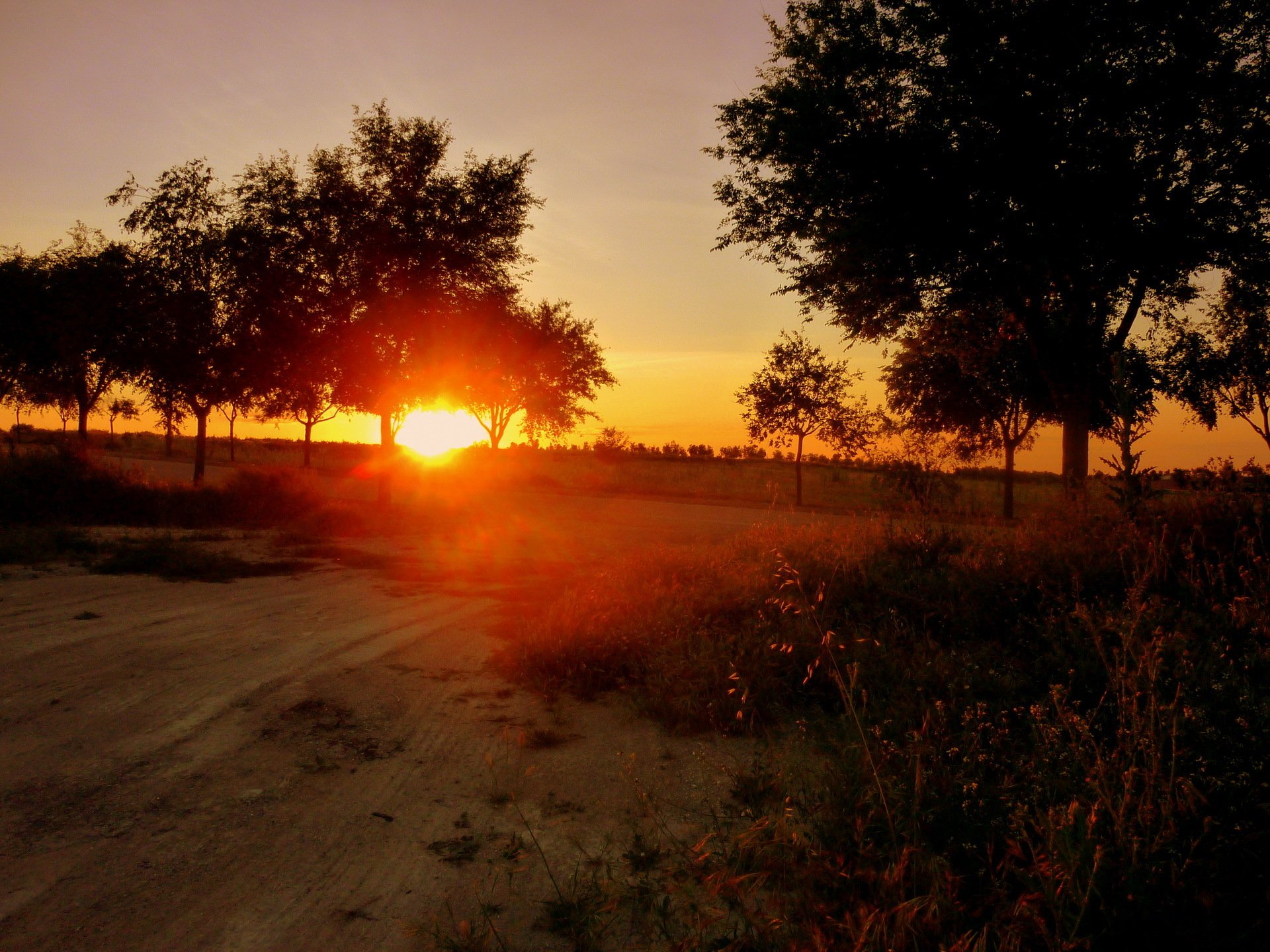 aube coucher de soleil espagne soleil nature route arbres photo